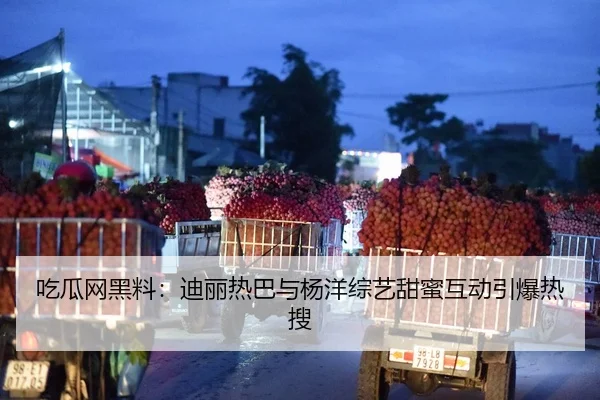 chi-gua-wang-hei-liao-di-li-re-ba-yu-yang-yang-zong-yi-tian-mi-hu-dong-yin-bao-re-sou-2-797.jpg